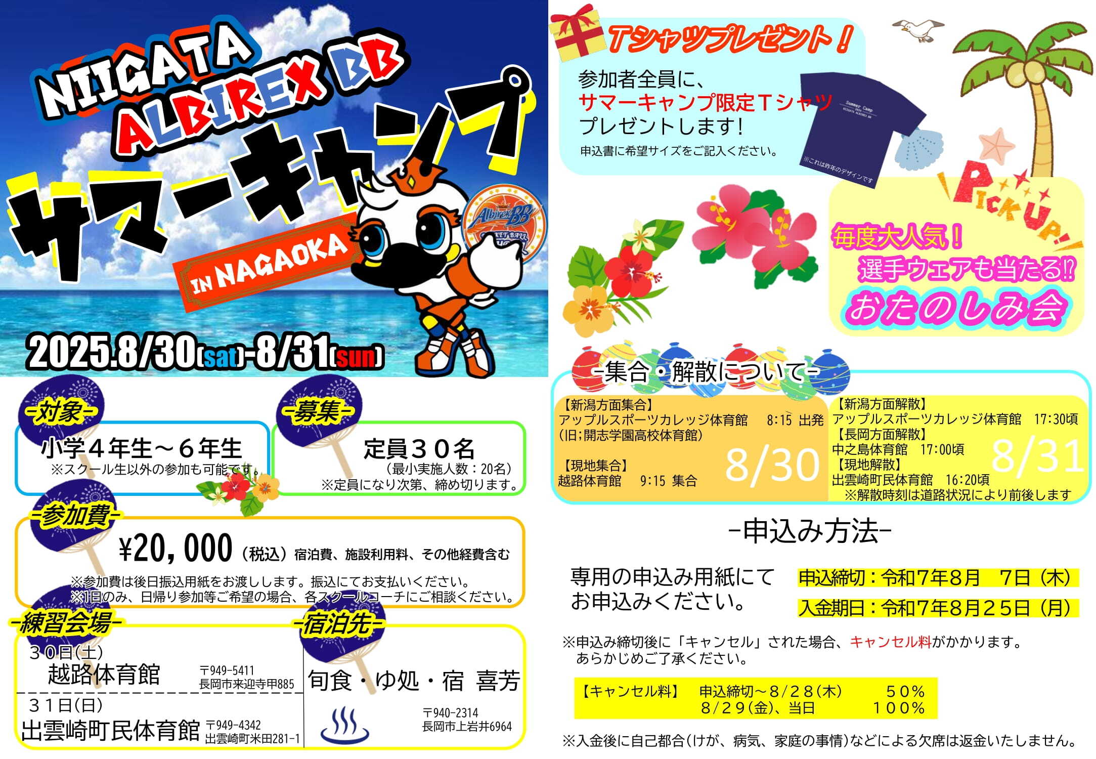 スクール】チャレンジクラス サマーキャンプ2025開催のお知らせ | 新潟